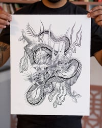 Image 2 of Dragon's Fight