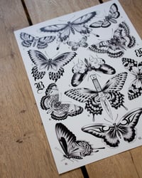 Image 2 of Butterflies