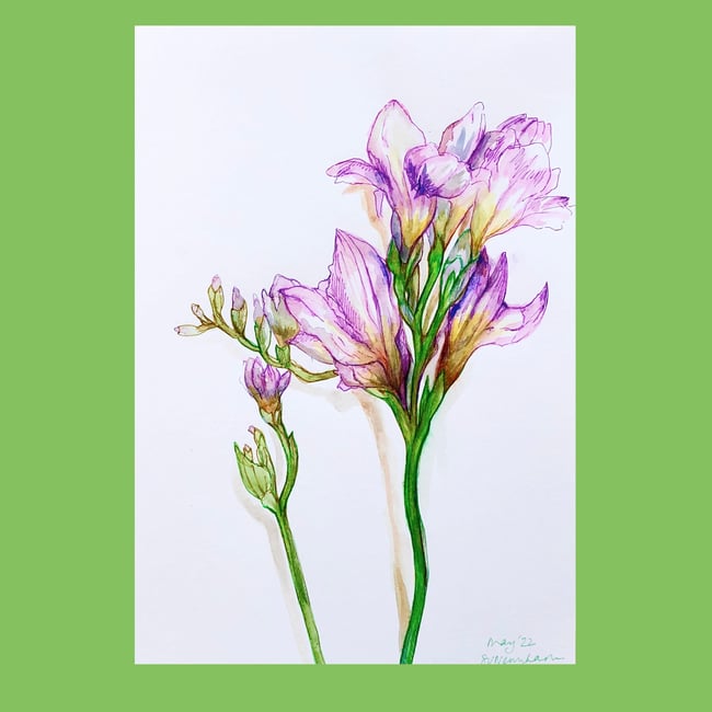 Freesias | Amethyst and Yellow | A4
