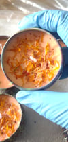 Orange scented 2 oz candle