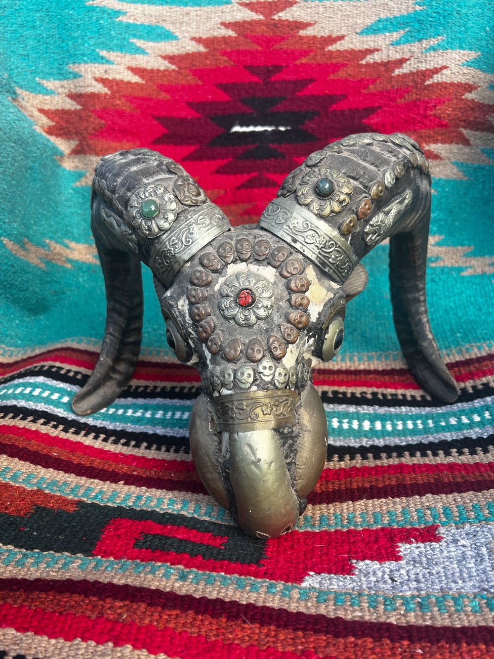 Antique Kapala Ram Skull