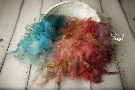 Image of Painted Rainbow hand felted fur F