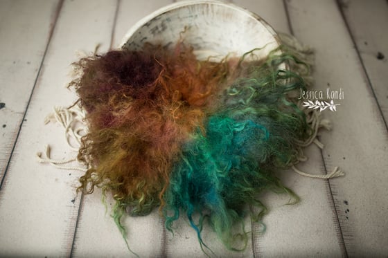 Image of Painted Rainbow hand felted fur H