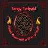 TANGY TERIYAKI!! 