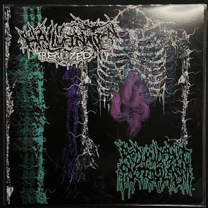 Image of Hallucination Realized / Redundant Protoplasm - Split LP (UNDESIRABLE-024)
