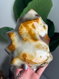 Image 5 of XL ORCA CARNELIAN FLAME -MADAGASCAR-