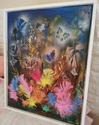 Image 2 of Butterflies