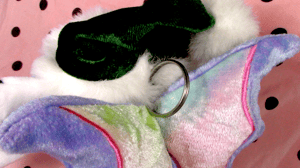 Umbra the center space of the Venn Diagram
