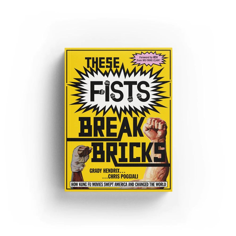 Image of These Fists Break Bricks: How Kung Fu Movies Swept America and Changed the World (Book)