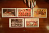 More Postcards