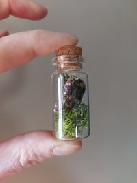 Image 1 of Bee Bottle Garden