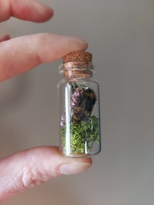 Bee Bottle Garden