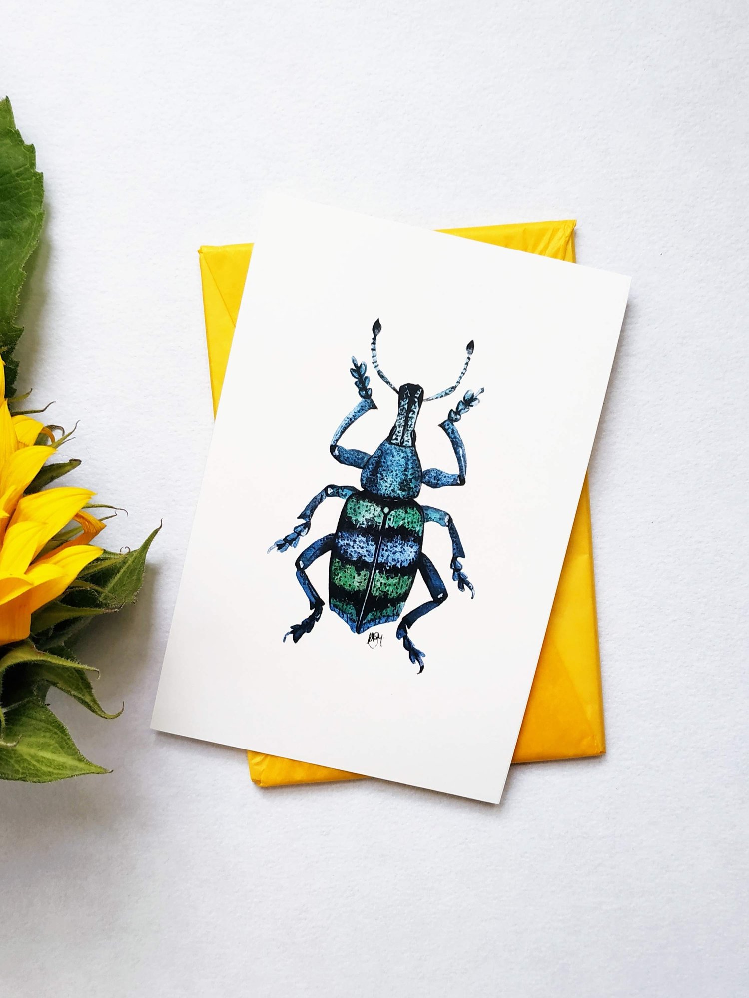 Image of Insect Postcards Set n.3