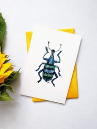 Image 3 of Insect Postcards Set n.3