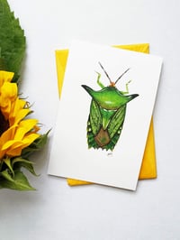 Image 4 of Insect Postcards Set n.3