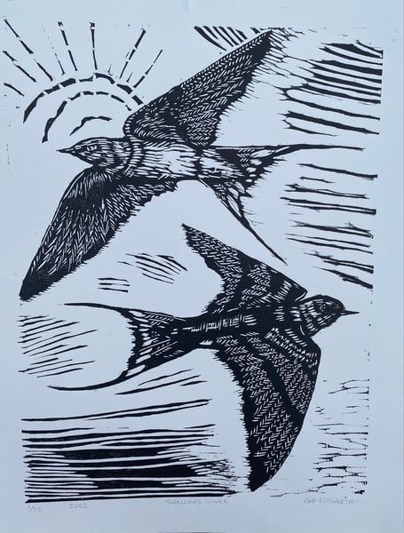 Image of Swallows Dance