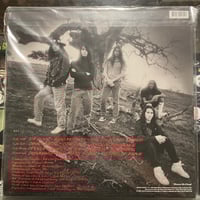 Image 2 of Death Angel - Frolic Through The Park Vinyl 2xLP