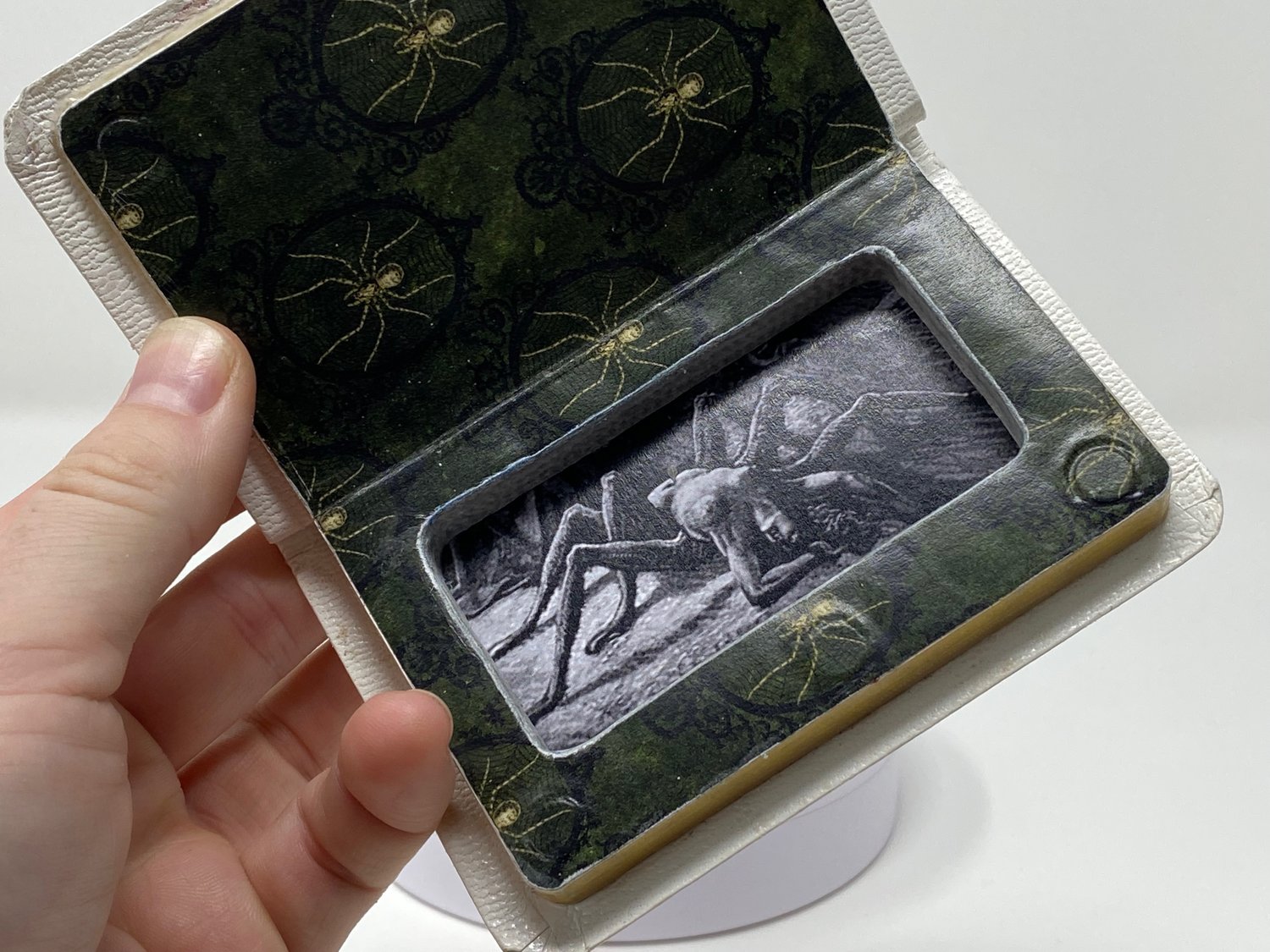 Image of Pocket Bible Joint Case white spider