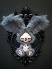 Image 5 of Big Grey Bunny