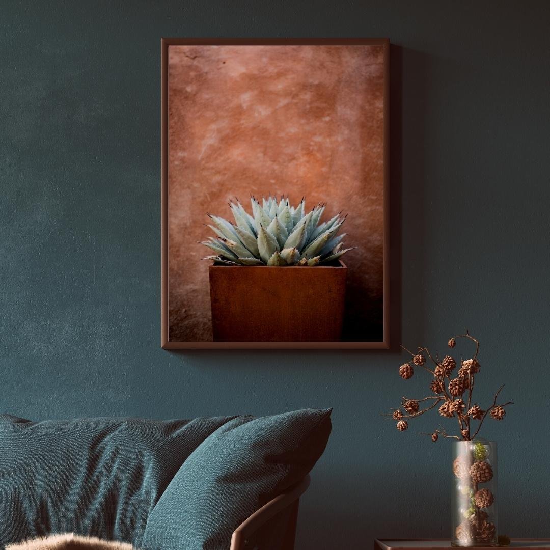 Terracota Succulent