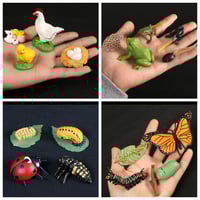 Life Cycle Figurines of a Frog, Monarch Butterfly, Chicken and Ladybug