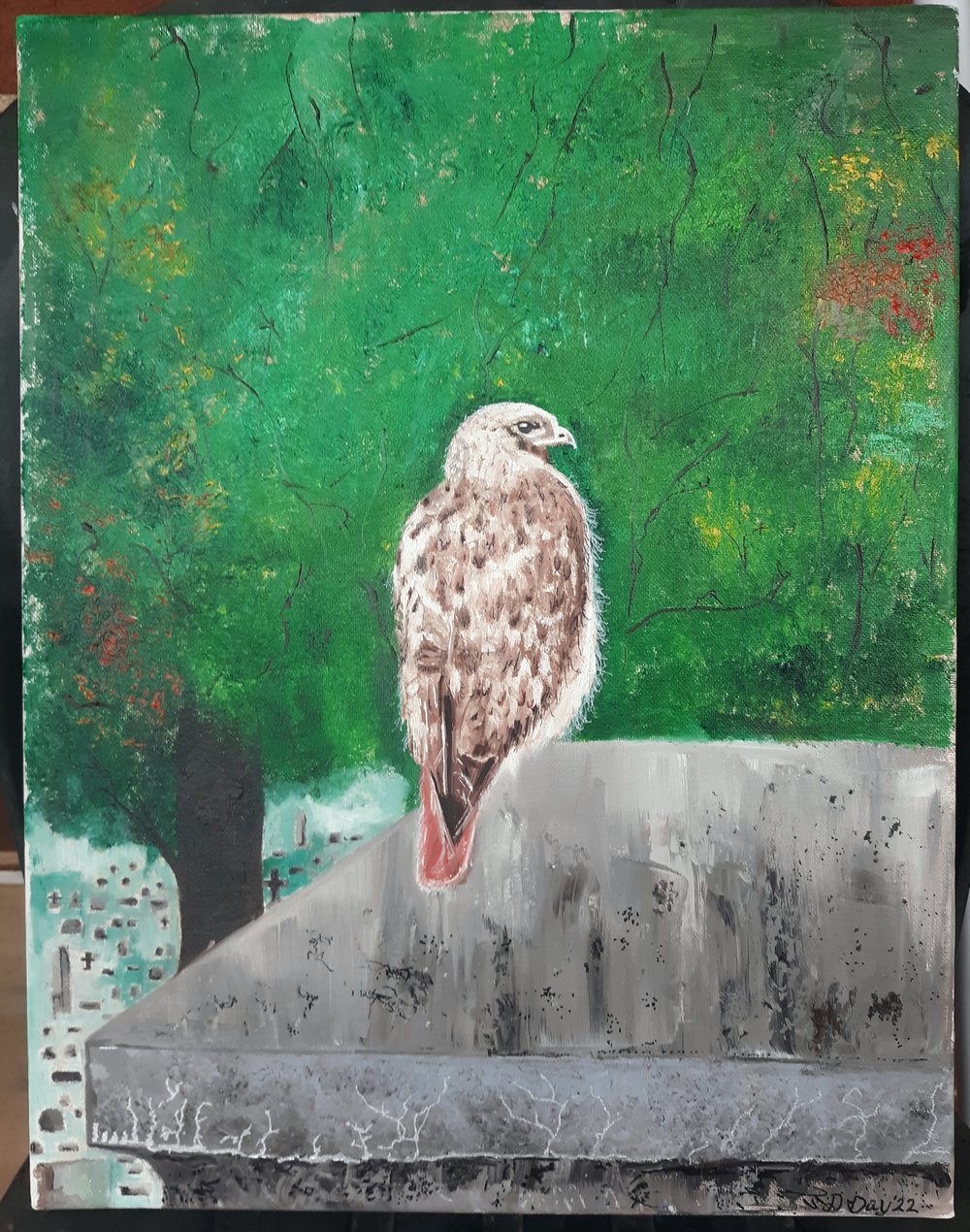 Image of Misty mourning Hawk at Maple Hill original oil painting 