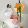 Hanging flower pot hexagon