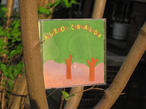 Image of ALGERNON CADWALLADER some kind of cadwallader CD