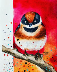 Black throated bushtit bird with watercolor print