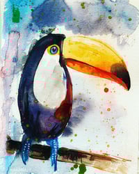 Toucan bird with watercolors print