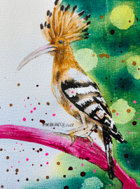Hoopoe bird with watercolors print