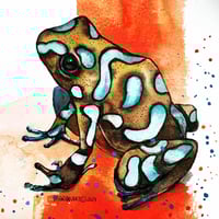 Poison frog with watercolors