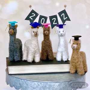 Little Llama Alpaca Graduate - Unique Grad Gift - Real Fiber - Includes Cap and Charm - Keepsake