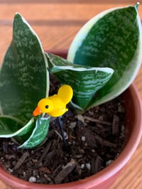 Image 3 of Easter Plant Stick set