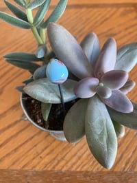 Image 4 of Easter Plant Stick set