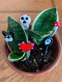 Superstitious Plant Sticks