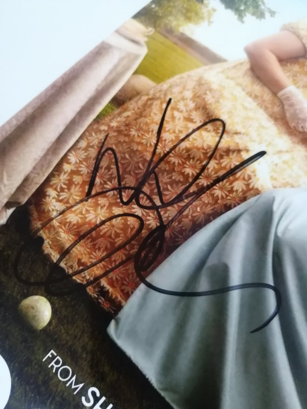 Nicola Coughlan Signed Bridgerton 10x8 photo