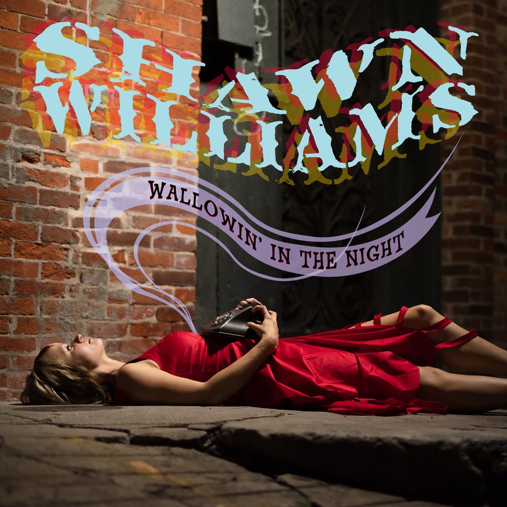 Image of Wallowin' in the Night CD