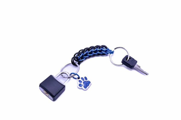 Image of Paw Key Chain