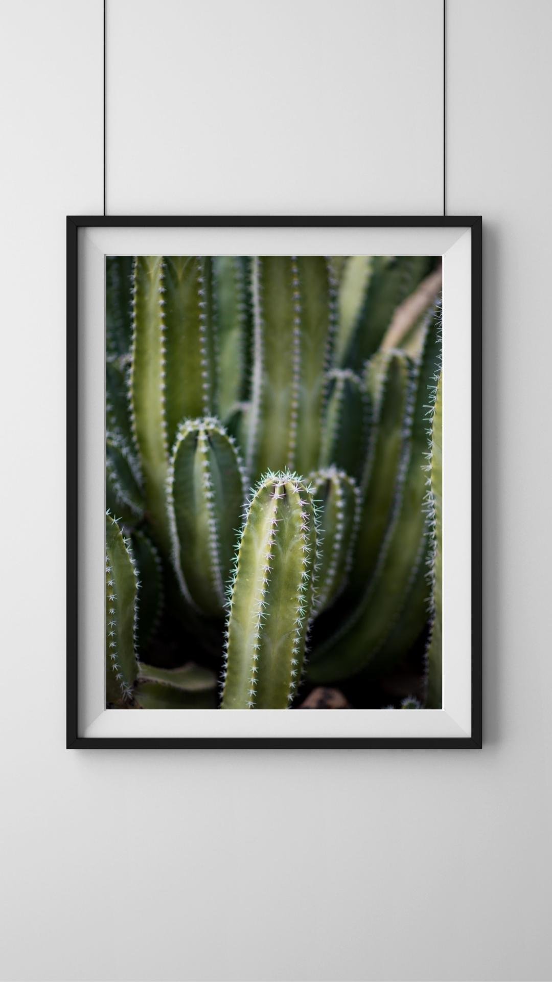 Cactus Fingers