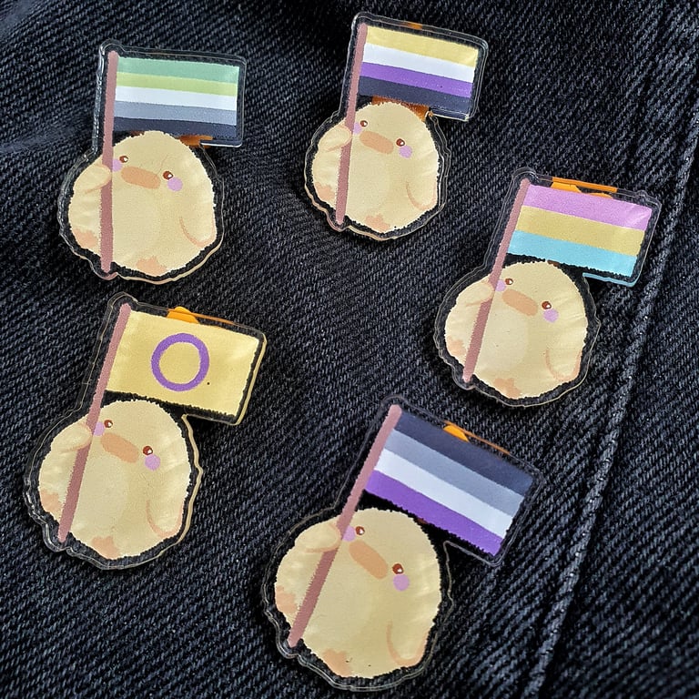 Bird Pride Flag 100% Recycled Acrylic Pin Image 2