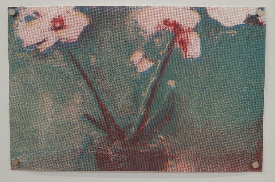 Image of Green Orchid by Helen Fallside