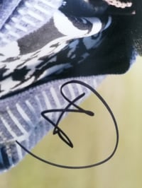 Image 2 of Daniel Kaluuya Black Panther Signed 10x8