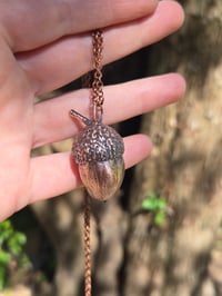Image 3 of Electroformed Swamp Chestnut Oak acorn necklace 01