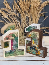 Image 1 of Wooden number ONE*1 rustic *H-53cm *natural cornflower moss