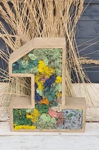 Image 2 of Wooden number ONE*1 rustic *H-53cm *natural cornflower moss