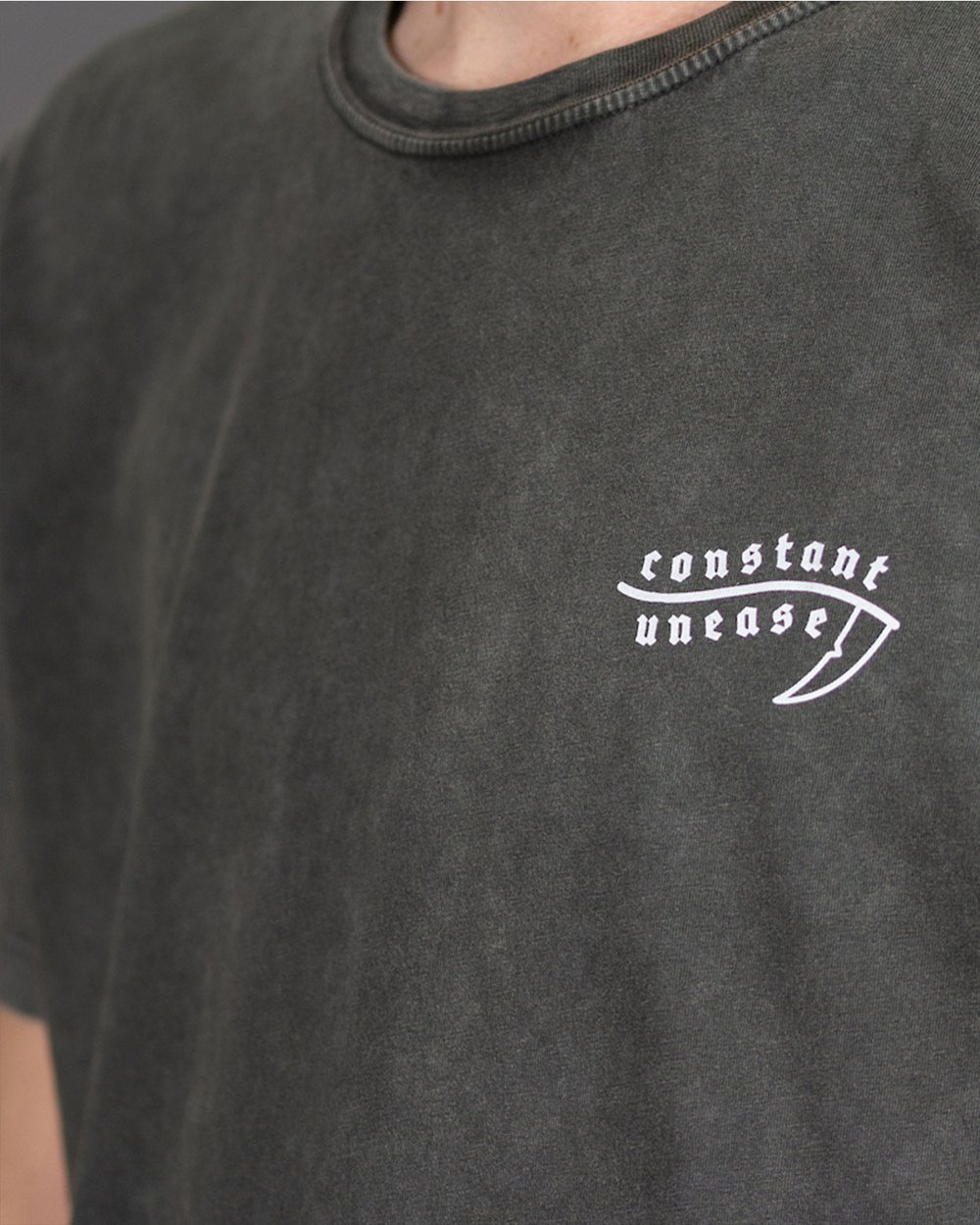 'Logo 2.0' T-Shirt washed grey