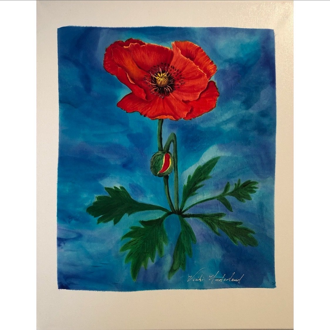 Image of SINGLE RED POPPY