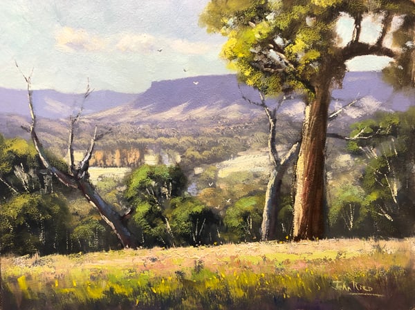 Image of The View From Ridgewood
