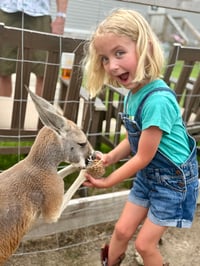 Image 5 of Boo At The Zoo, horse rides, pumpkin painting, hay rides, MORE!